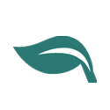 logo icon1